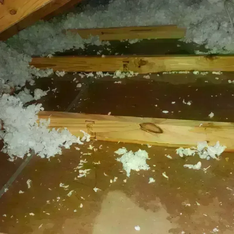 Best Attic Water Damage Service in Weedsport, NY