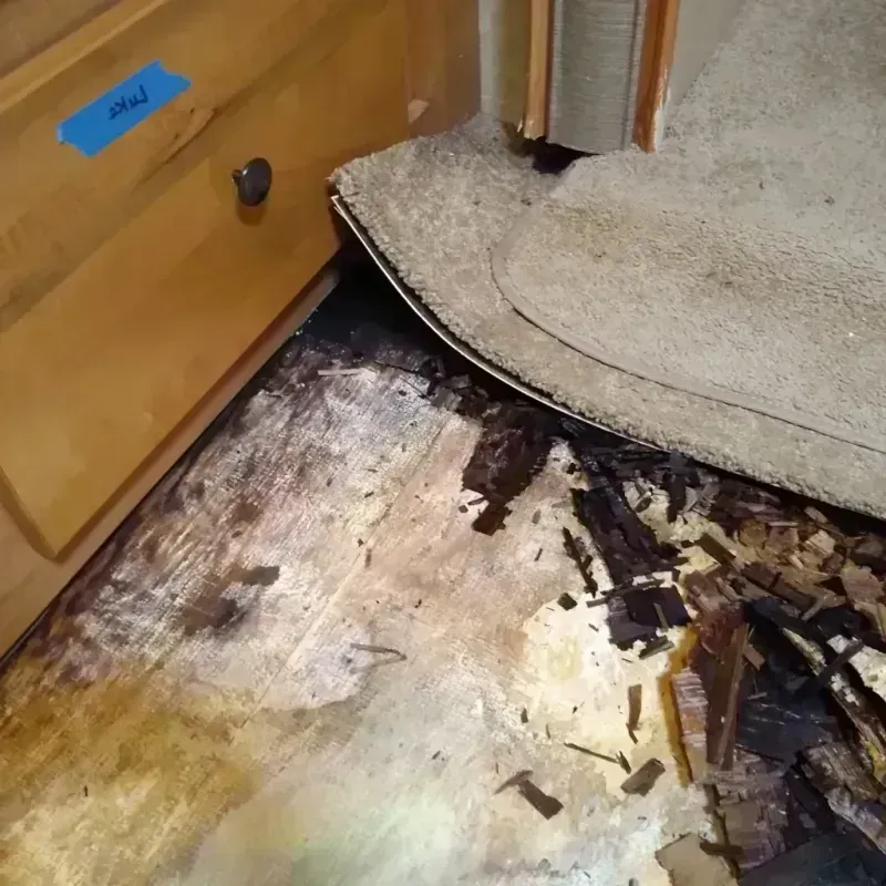 Best Wood Floor Water Damage Service in Weedsport, NY